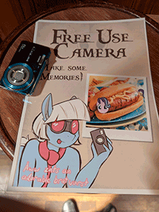 Picture Perfect lud zu Photos ein
