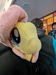 Fluttershy ist auch dabei